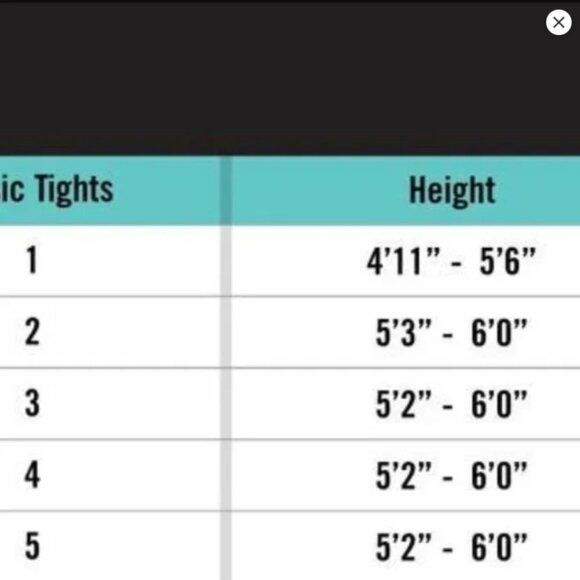 HUE Thunder Gray Luster Control Top Tights Women's Size 2 S/M U2167 - Picture 2 of 3